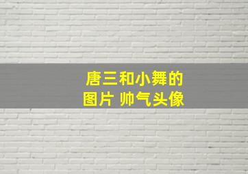 唐三和小舞的图片 帅气头像